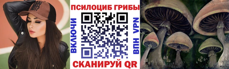 Псилоцибиновые грибы Psilocybine cubensis Старый Крым